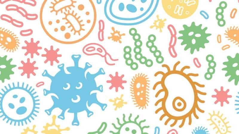 Nouveaux vaccins expérimentaux prometteurs pour la COVID