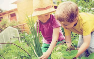 COVID-19: des habitudes de vie qui la favorise