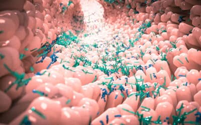 Immunité et microbiote