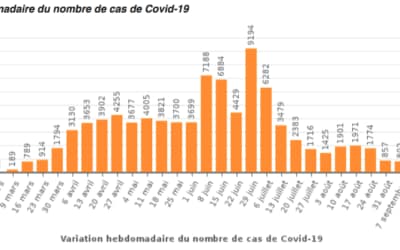 The example of Sweden during COVID-19