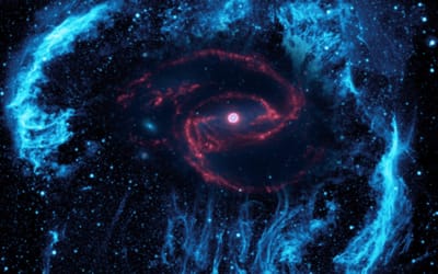 When our cells talk to each others