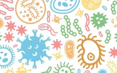 Nouveaux vaccins expérimentaux prometteurs pour la COVID