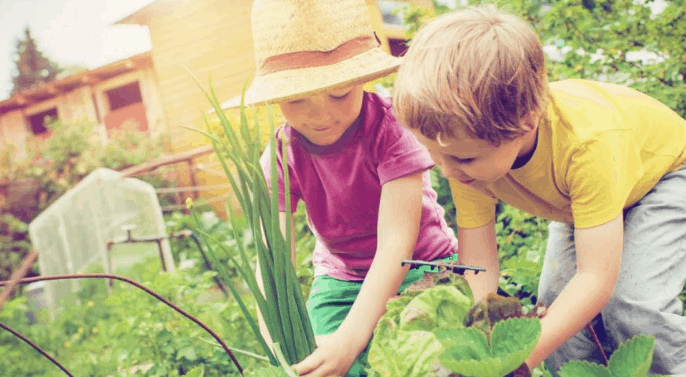 Habitudes de vie COVID